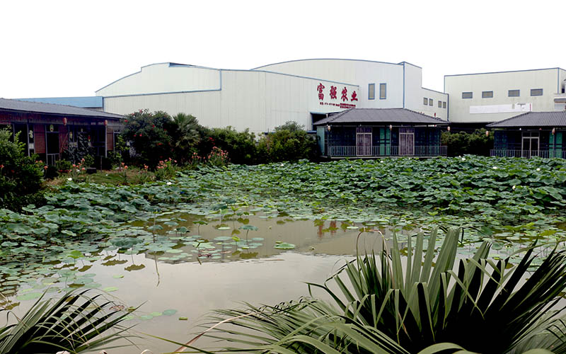 鐘山縣回龍鎮“菌美人間”不僅是廣西現代特色農業核心示范區，還是廣西四星級鄉村旅游區。廖超文攝