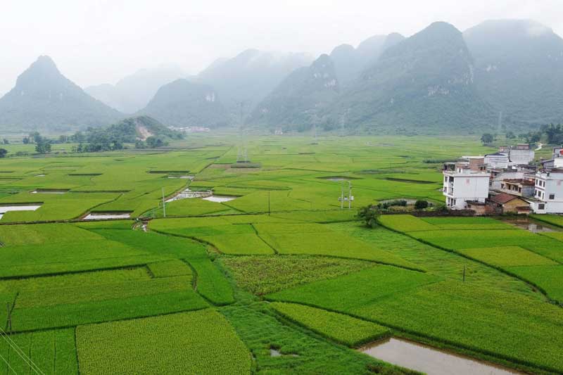 ��������԰��⡣