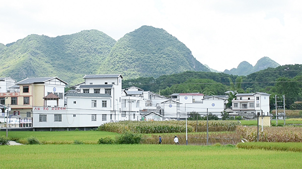 马山县乔利乡:三大亮点提升乡村风貌