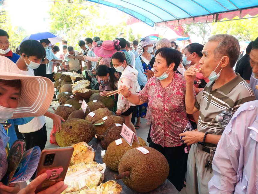 7月31日，參加寧明縣第二屆木菠蘿文化旅游節的各界群眾正在免費品嘗木菠蘿。周貽剛攝