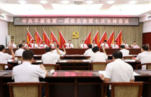 中国共产党平果市第一届委员会第七次全体会议召开
