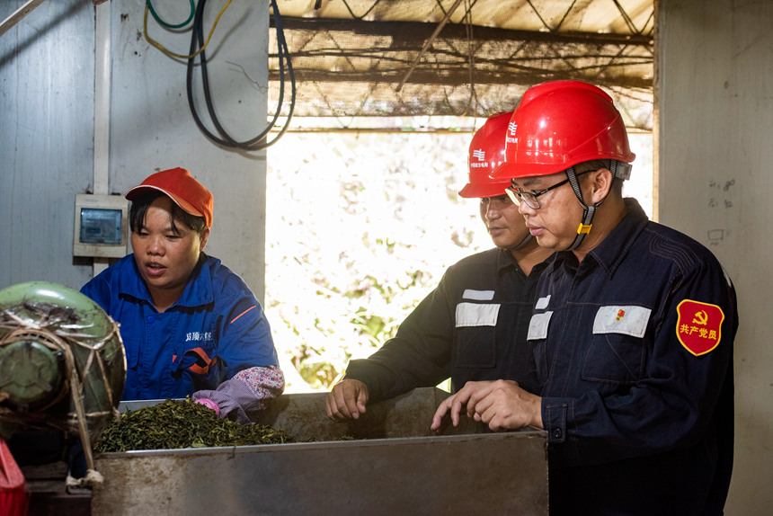 南方電網廣西新電力集團梧州供電公司黨員服務隊向茶企了解企業用電需求。