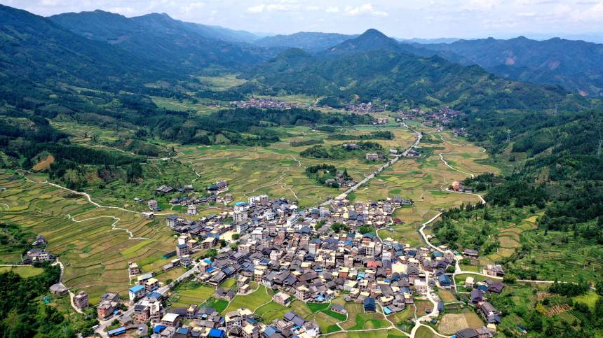 金黃稻谷與侗族村寨交相輝映，呈現出一幅“滿村盡是黃金屋”的壯美景象。龔普康攝