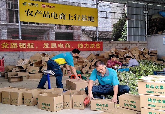 中国邮政南宁分公司在乡村建设农产品上行基地。莫树森摄