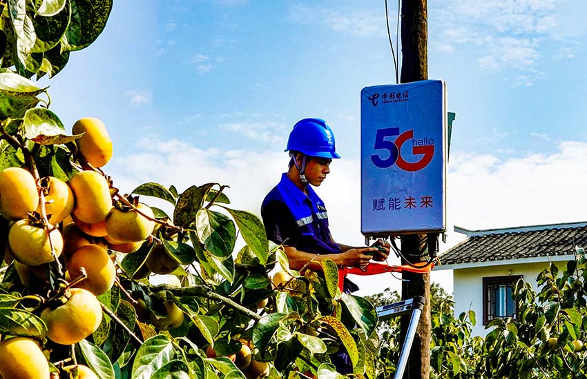 中國電信5G建設正向廣西村屯延伸。王雲波攝