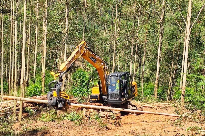 广西林业集团：林业智能机械助推产业升级