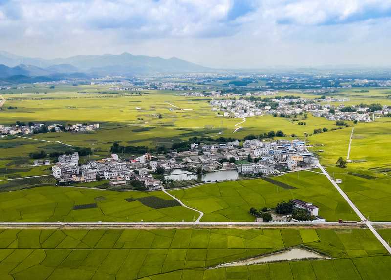 干群齐心,有力推动了乡村治理效能提升,乡村建设水平实现跃升