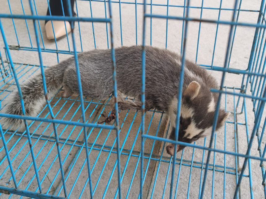 񾯾Ļꡣ