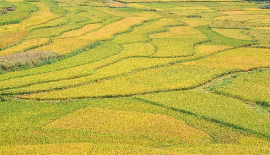 11��20�գ����и���µ��������������������յ���������һ��������ˮ�ʻ���������