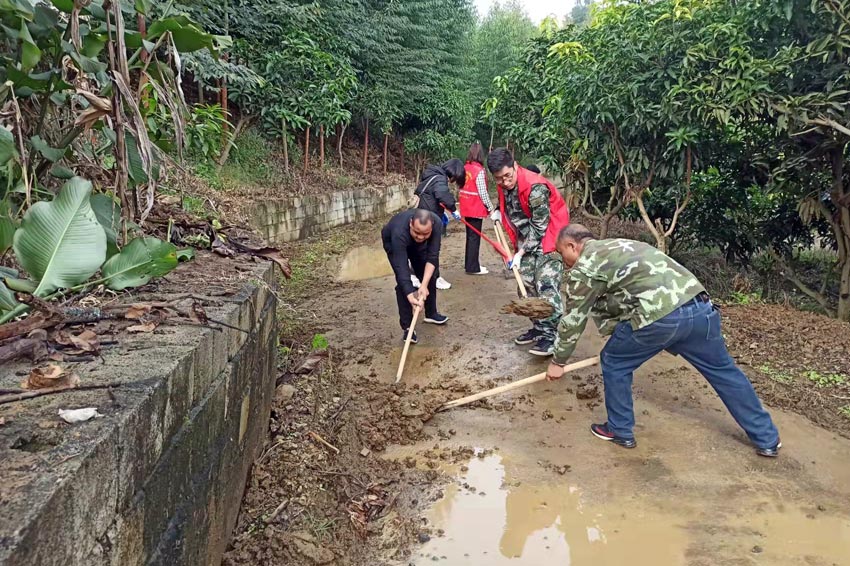 黨員、群眾開展村屯全域衛生整治，清理通屯道路。陽圩鎮政府供圖