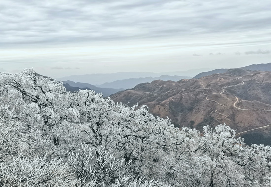 花草樹木被一層晶瑩剔透的薄冰包裹住，在寒風中盡顯別樣美麗。王雲波攝