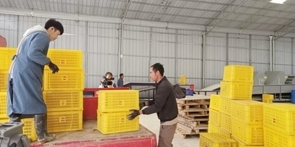 ѡ�����������ռ����𡣻���Ⱥ��