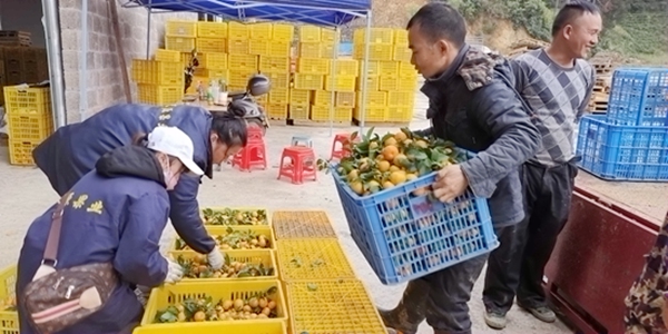 �չ��ֳ�������Ⱥ��