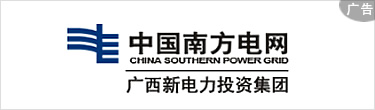广西新电力投资集团有限责任公司