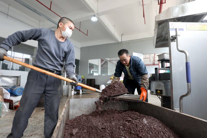 在三江侗族自治縣斗江鎮一家茶油精深加工廠，兩名工人在車間內加工茶油。龔普康攝