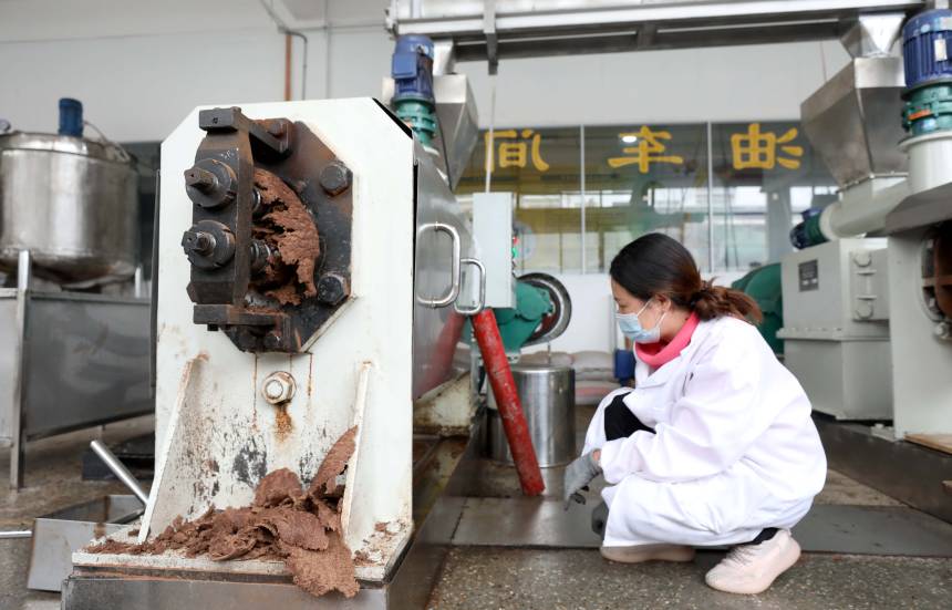 在三江侗族自治縣斗江鎮一家茶油精深加工廠，一名工人在車間內查看出油情況。龔普康攝