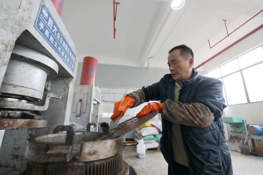 在三江侗族自治縣斗江鎮一家茶油精深加工廠，一名工人在車間內加工茶油。龔普康攝