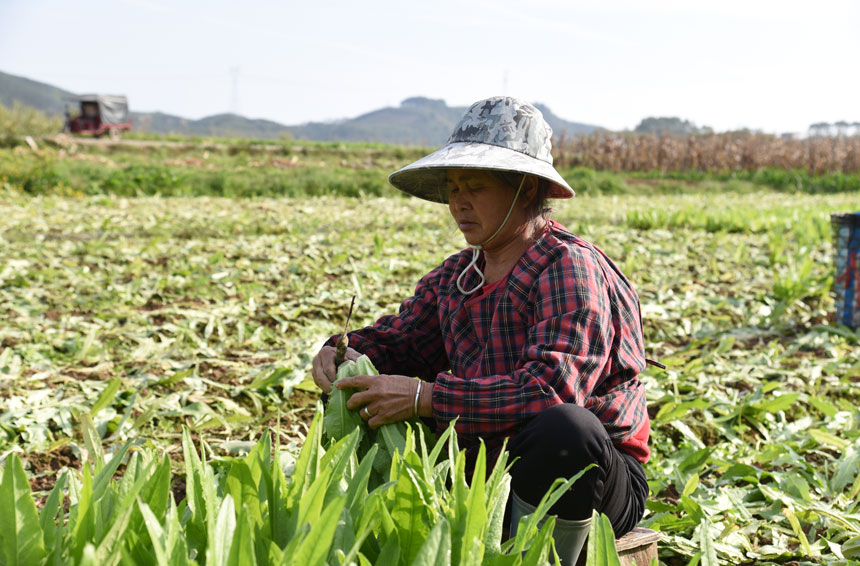 ����������æ���ո�����ˡ�