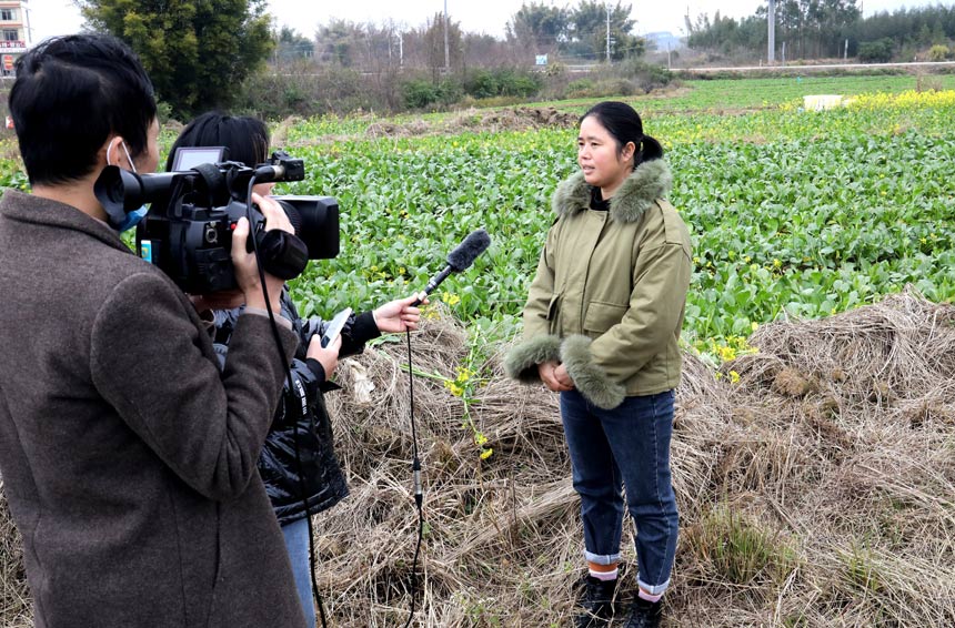 農場負責人接受賀州廣播電視台記者採訪。陶勝平攝