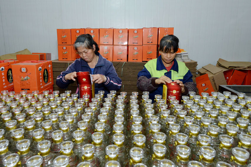 村民在給米酒打包裝。