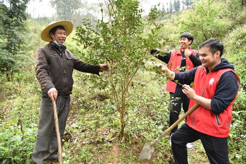 "2月23日,大新县五山乡联山驻村工作队员深入田间地头帮助群众种植
