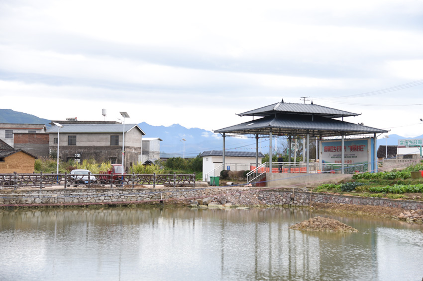 鹿寨縣三排村斑鳩屯“美麗村庄”建設項目施工現場。