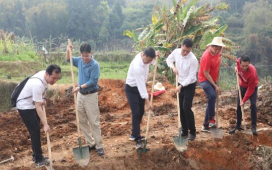 自治区体育局到塘步镇南安村开展植树、修水利活动