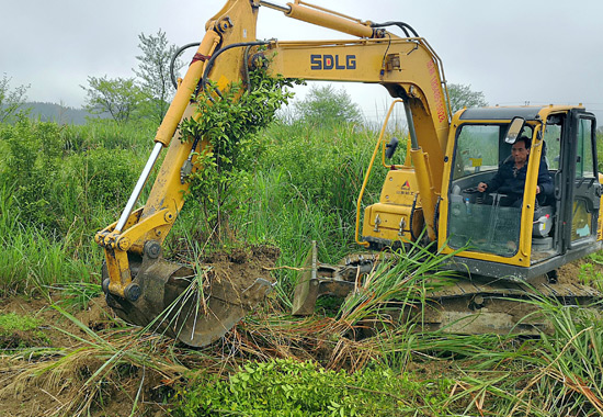 一台挖掘机正在灌阳县水车镇大营村田间平整土地。