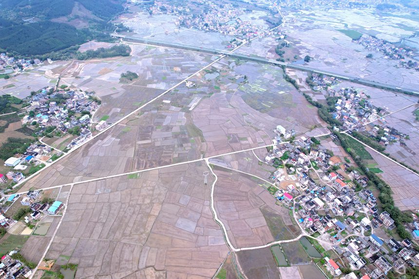 俯瞰港北區慶豐鎮新圩村的農田。