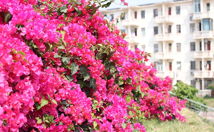 У԰�������÷������𡣻������