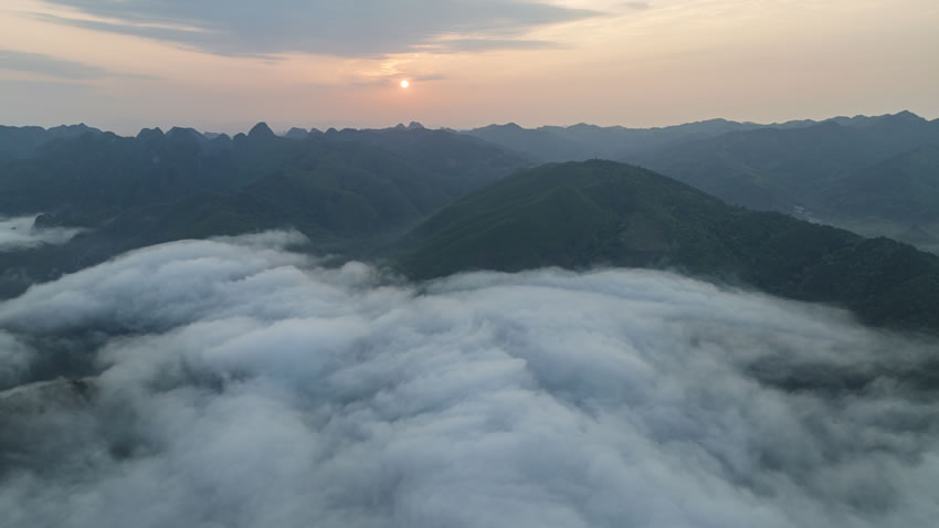 日出林海。
