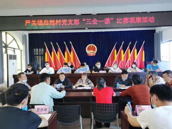 同志村委阳家村党支部在召开党员大会进行理论学习。