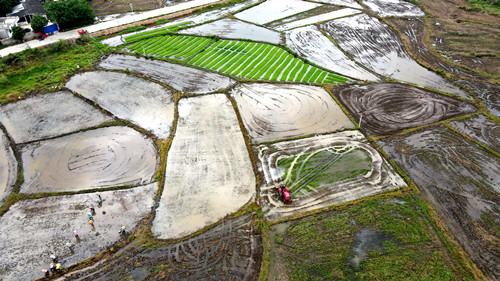 土地航拍图。南宁市邕宁区蒲庙镇纪委供图