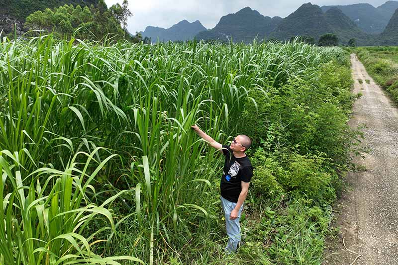 致富项目商机_室内种植致富项目_致富经项目