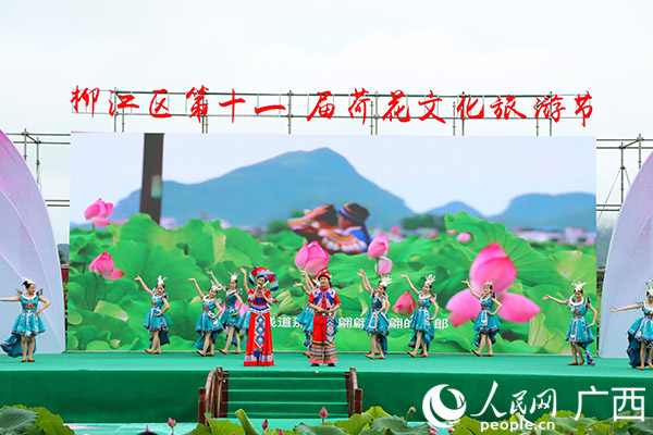 柳州市柳江区第十一届荷花文化旅游节开幕