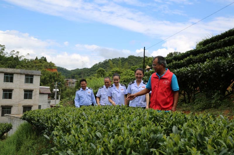 （税务干部到茶园开展实地调研了解茶产业发展情况，为茶农、茶企作税惠政策宣传辅导。昭平县税务局供图）