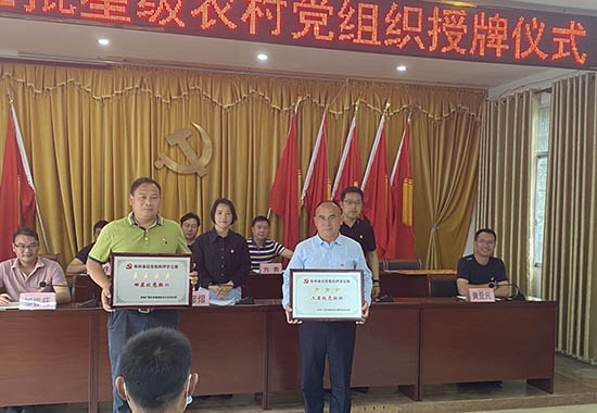 新化鎮開展第五批星級農村黨組織授牌儀式活動