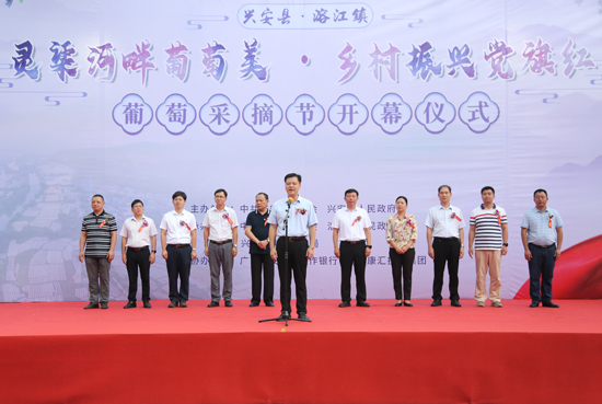 2022年溶江镇“灵渠河畔葡萄美·乡村振兴党旗红”葡萄采摘节启动仪式现场。张绍斌摄