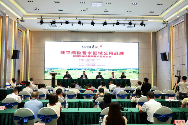 活动现场。主办方供图
