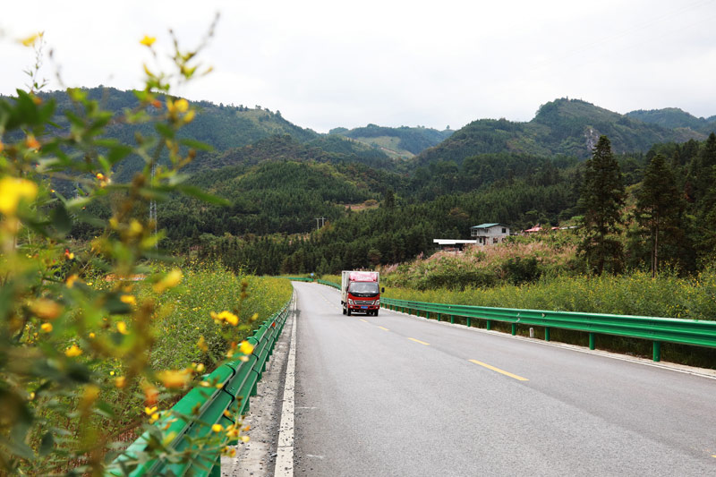 国道357线罗城至环江二级公路罗城县一处花团锦簇路段