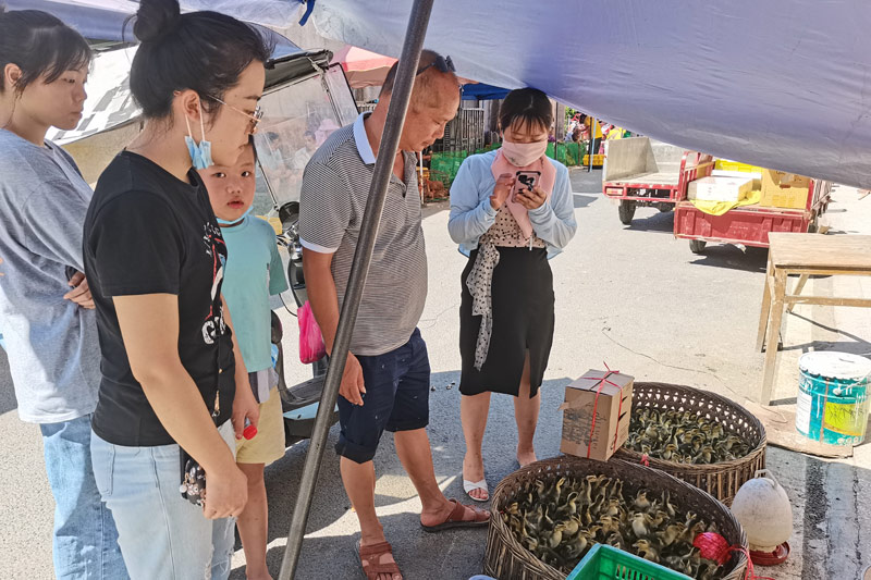 临桂中心帮扶人员和帮扶对象一起在市场购买鸭苗（刘承斌摄）