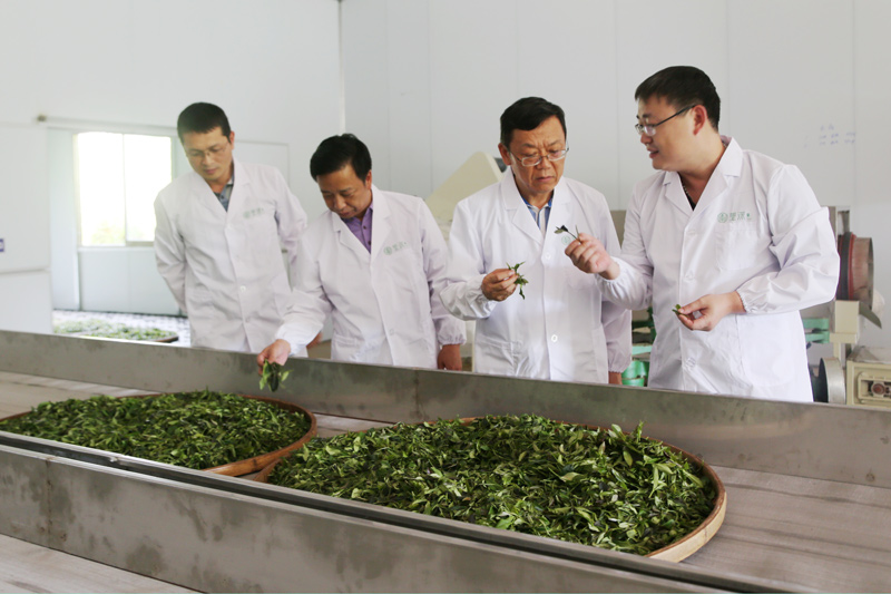 学院领导到里深村茶厂实地调研。