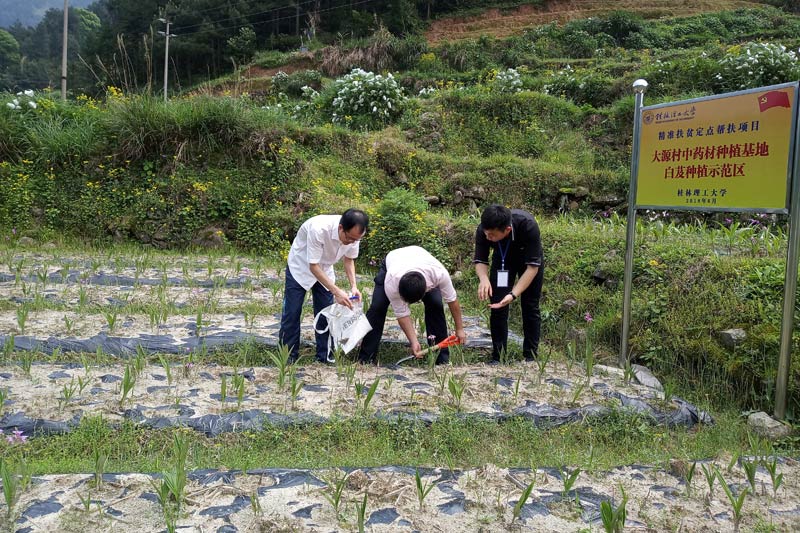 学校环境学院专家团队在帮扶村开展“中药材基地土壤环境监测及治理”项目。