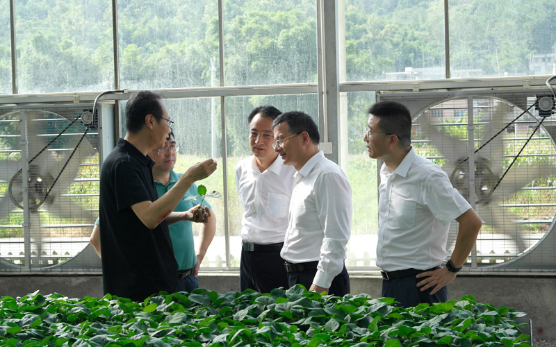7月4日，華夏銀行南寧分行領導帶隊，深入轄內某有機農業綜合體項目調研。