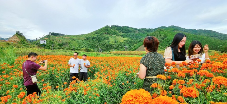 游客到花海拍照打卡。