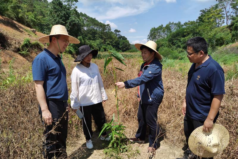 邹满丽局长、刘远平副局长到金康村调研