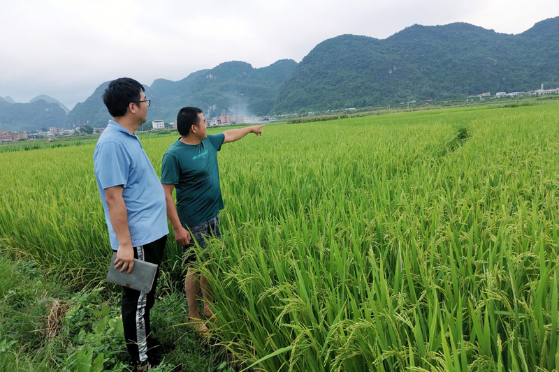 深入田间了解群众需求，掌握灌溉水利情况，确保农民群众产业生产保障。