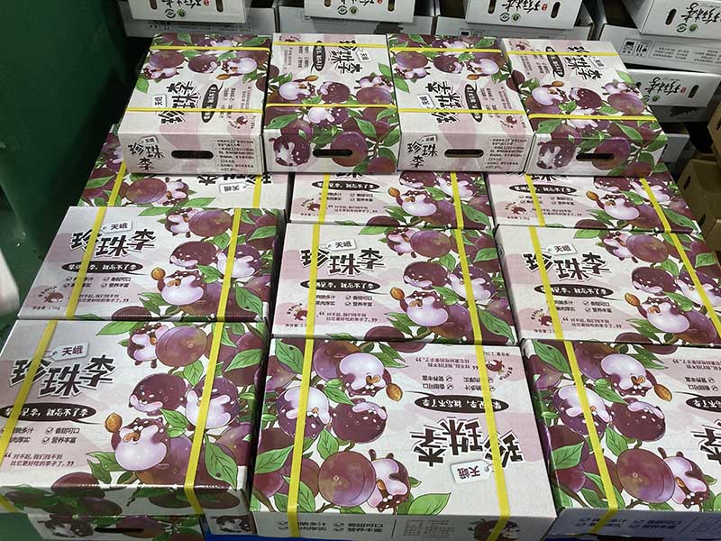 天峨“龙滩珍珠李”。