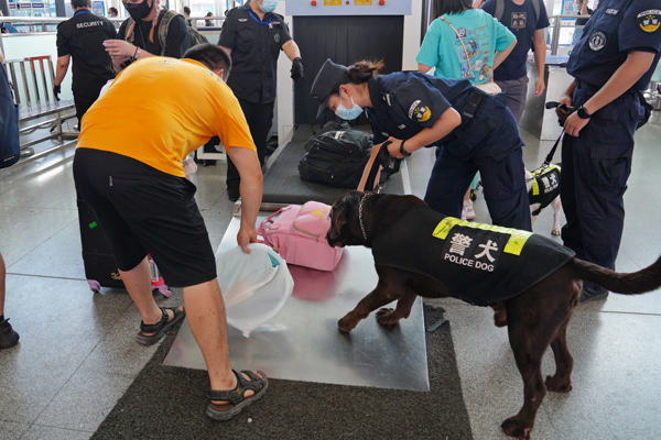 黃曉莉帶領搜爆犬“牛牛”在安檢口檢查行李。甘賢攝