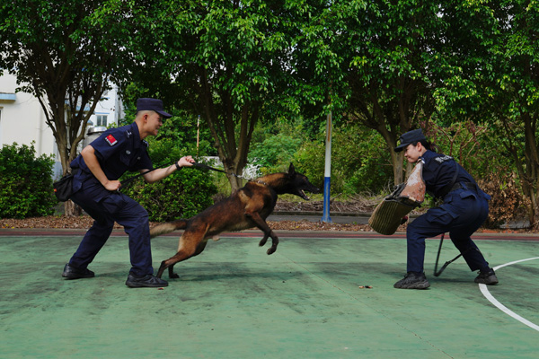 黃曉莉（右）和唐琥犀（左）帶著護衛犬“三月”做扑咬訓練。甘賢攝